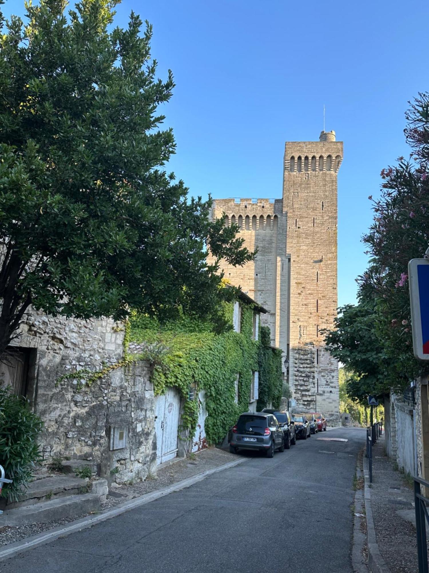 Charmante Petite Maison Avec Vue Panoramique, En Centre Historique, Proche D'Avignon, Ancienne, Renovee, Climatisee, Terrasse, Parking Public Gratuit ヴィルヌーヴ・レ・ザヴィニョン エクステリア 写真