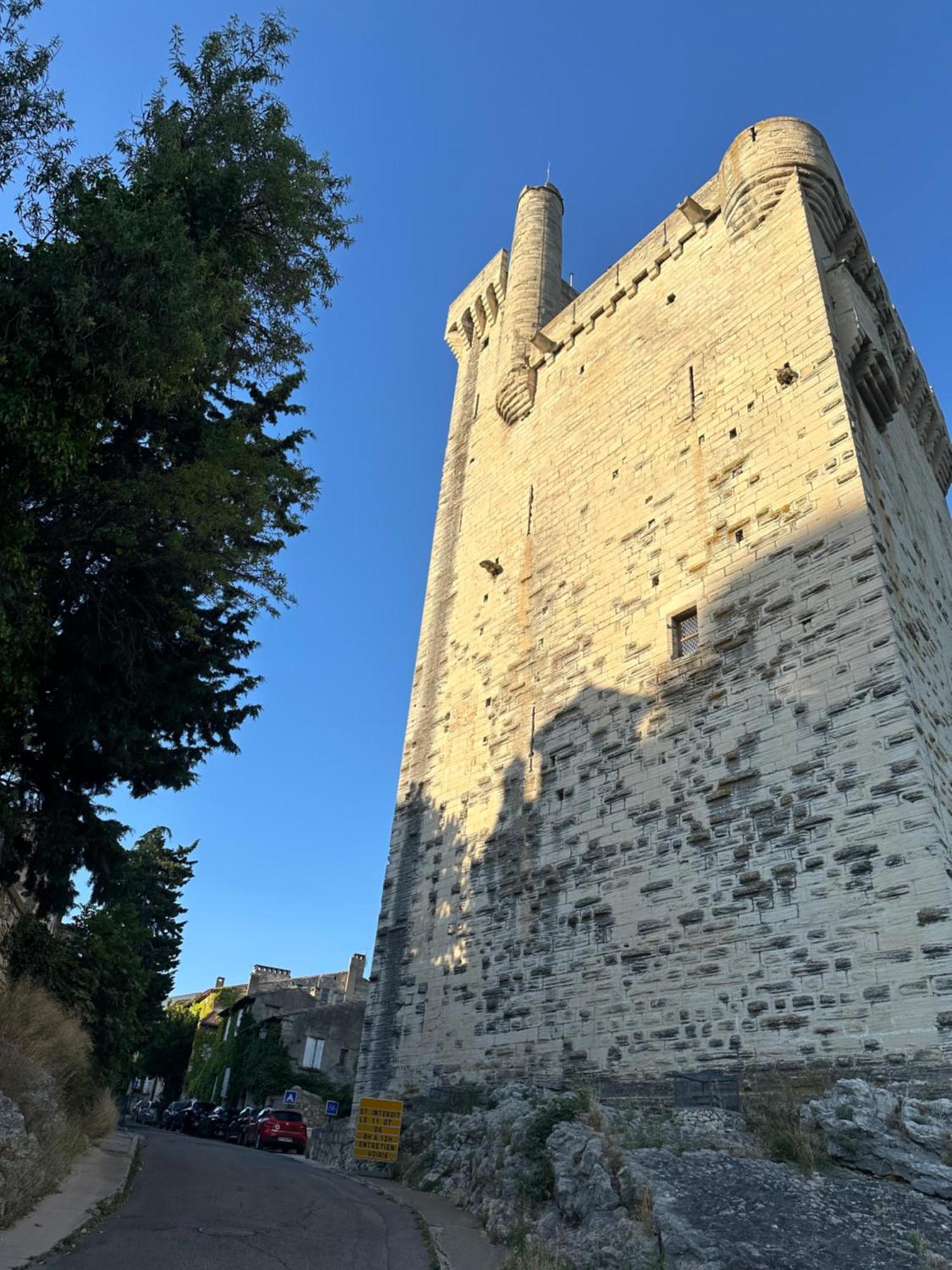 Charmante Petite Maison Avec Vue Panoramique, En Centre Historique, Proche D'Avignon, Ancienne, Renovee, Climatisee, Terrasse, Parking Public Gratuit ヴィルヌーヴ・レ・ザヴィニョン エクステリア 写真