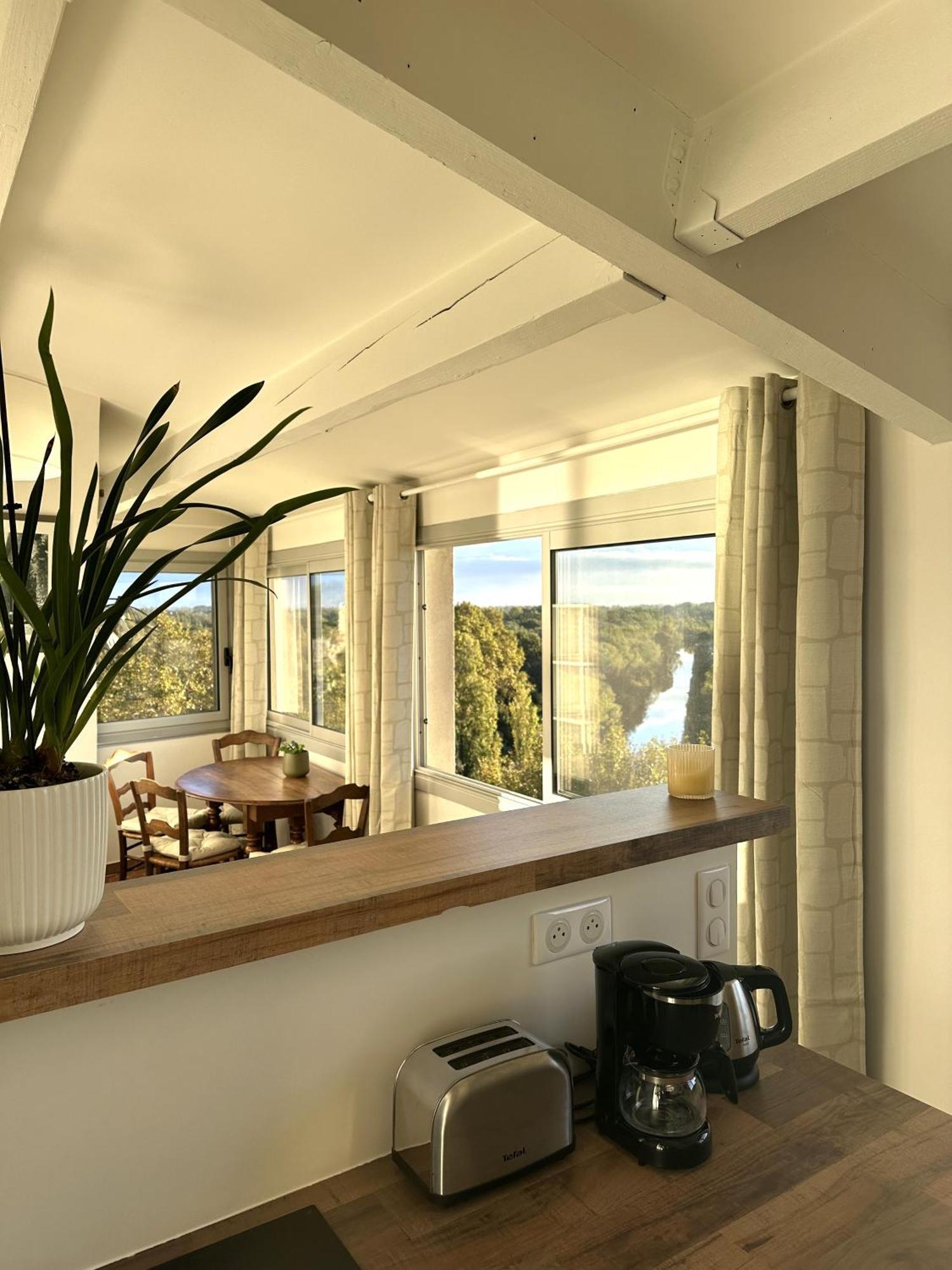 Charmante Petite Maison Avec Vue Panoramique, En Centre Historique, Proche D'Avignon, Ancienne, Renovee, Climatisee, Terrasse, Parking Public Gratuit ヴィルヌーヴ・レ・ザヴィニョン エクステリア 写真