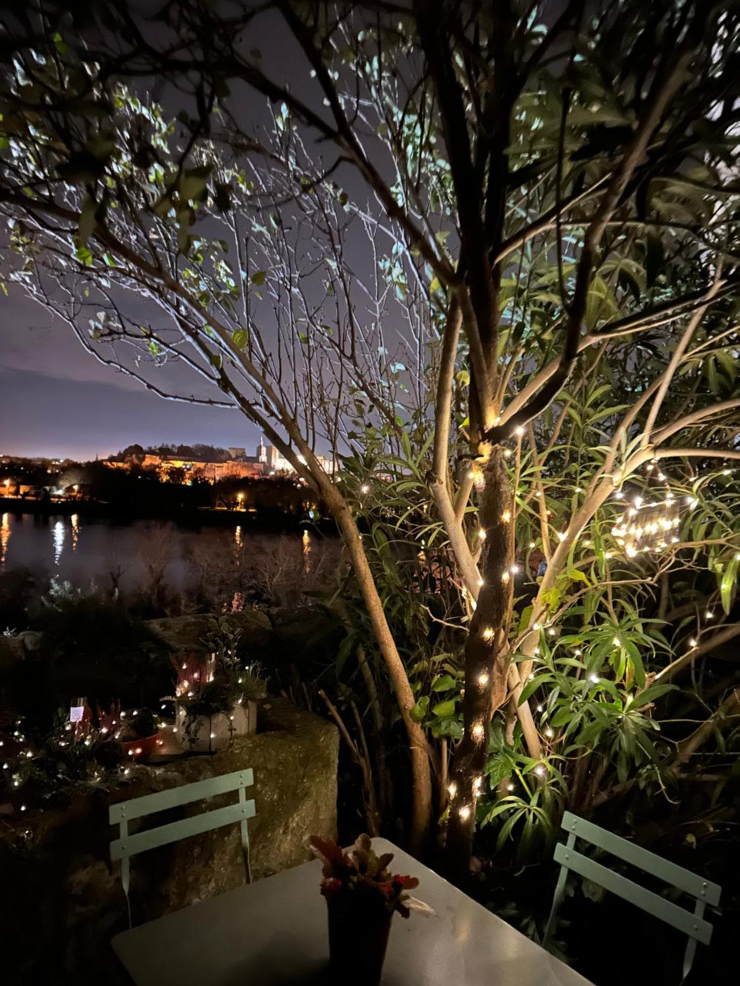 Charmante Petite Maison Avec Vue Panoramique, En Centre Historique, Proche D'Avignon, Ancienne, Renovee, Climatisee, Terrasse, Parking Public Gratuit ヴィルヌーヴ・レ・ザヴィニョン エクステリア 写真
